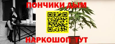 Альфа ПВП Кандалакша