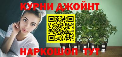 спиды Канаш