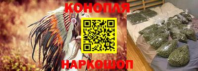 Альфа ПВП Кандалакша