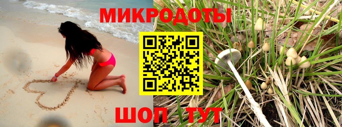 Томск  Псилоцибиновые грибы GOLDEN TEACHER  Псилоцибиновые грибы GOLDEN TEACHER  Вход с VPN 