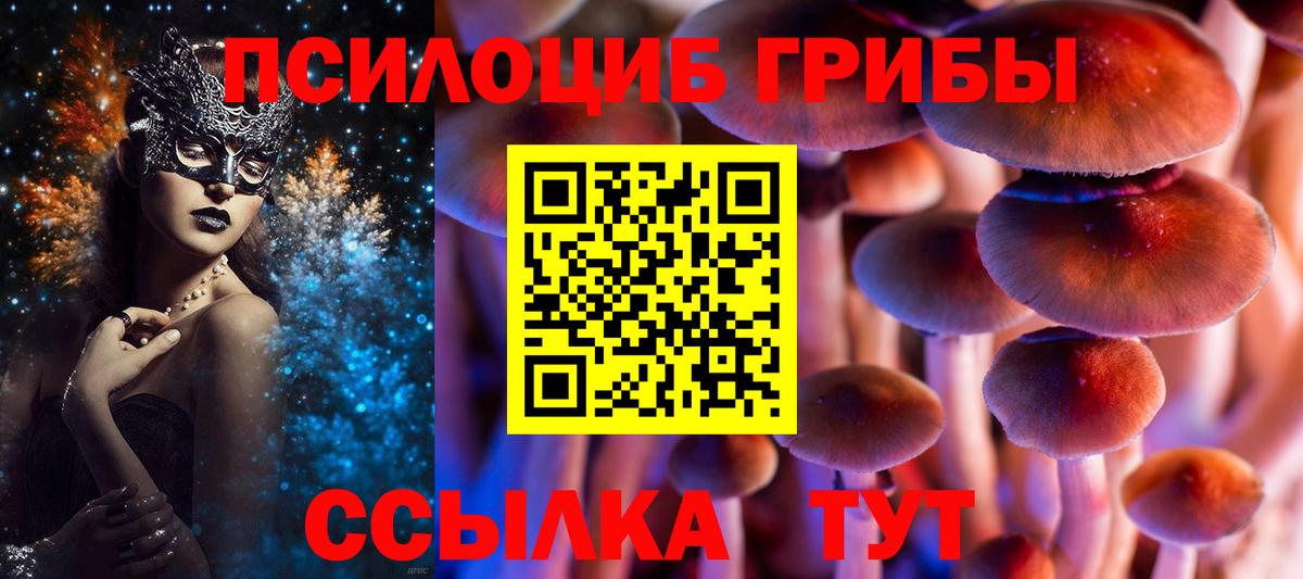 Псилоцибиновые грибы прущие грибы Томск